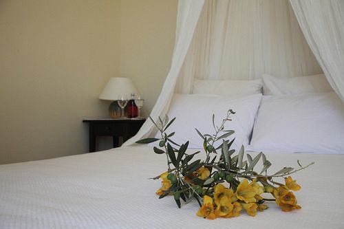 Urania Luxury Villas Pondi エクステリア 写真